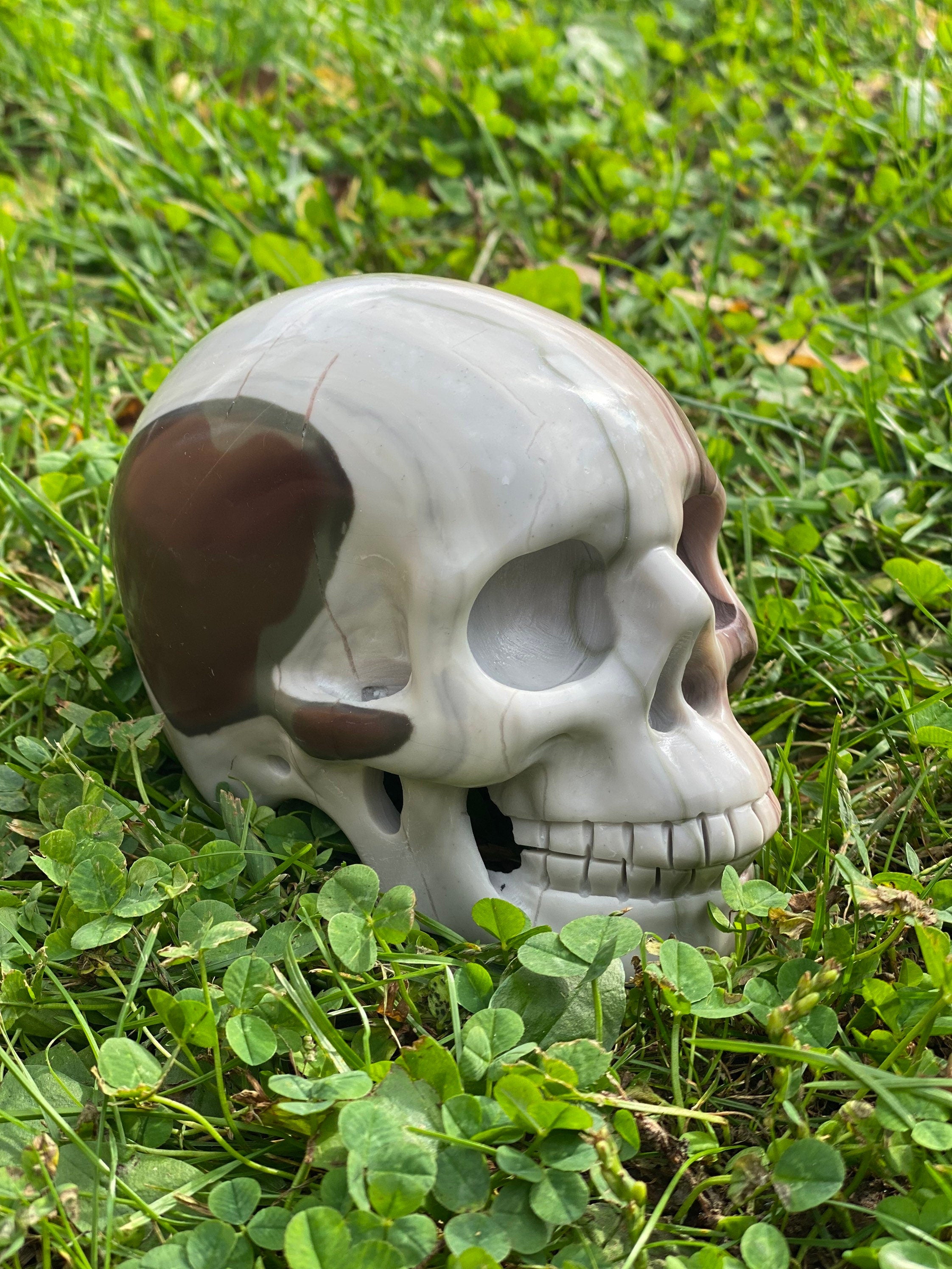 Large Wavy Jasper Skull, Jasper Skull 2 pounds, Big Crystal Skull, Skull from Jasper